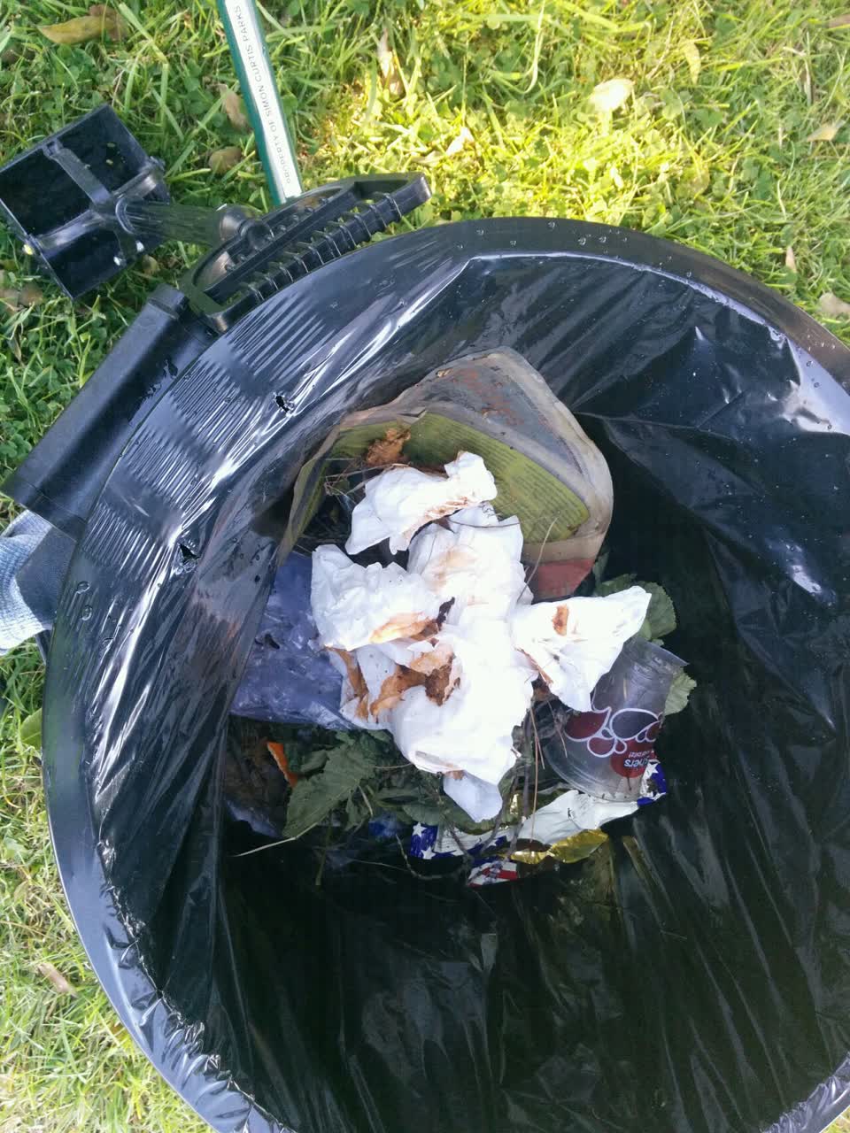 The photograph attached to this parks report