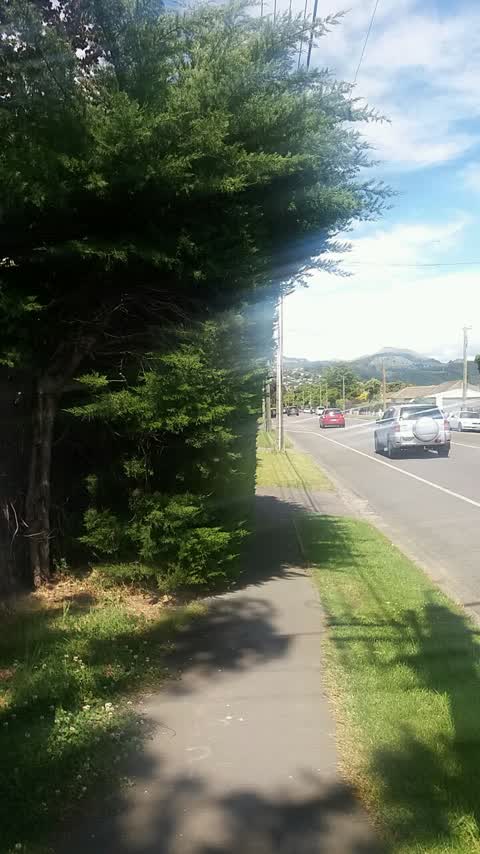 Roading/Streets, a report photo