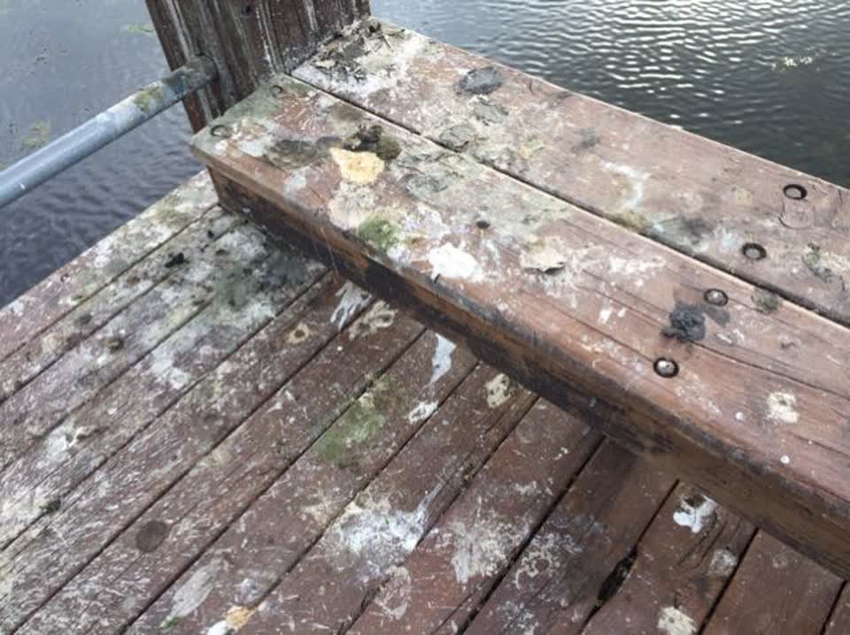The photograph attached to this parks report