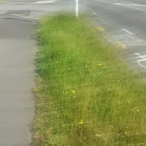 Roading/Streets, a report photo