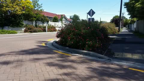Roading/Streets, a report photo