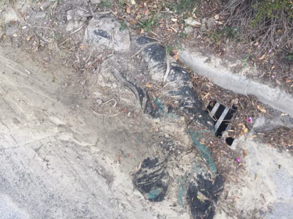 The photograph attached to this wastewater/stormwater report
