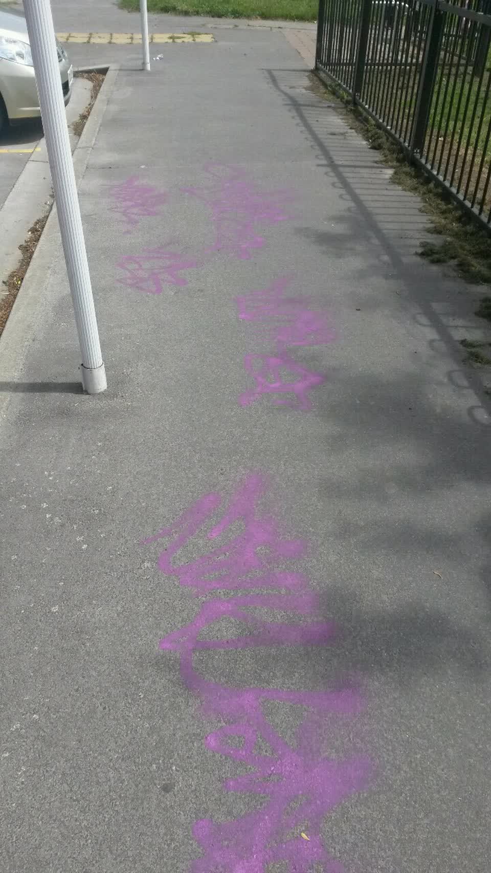 The photograph attached to this graffiti report