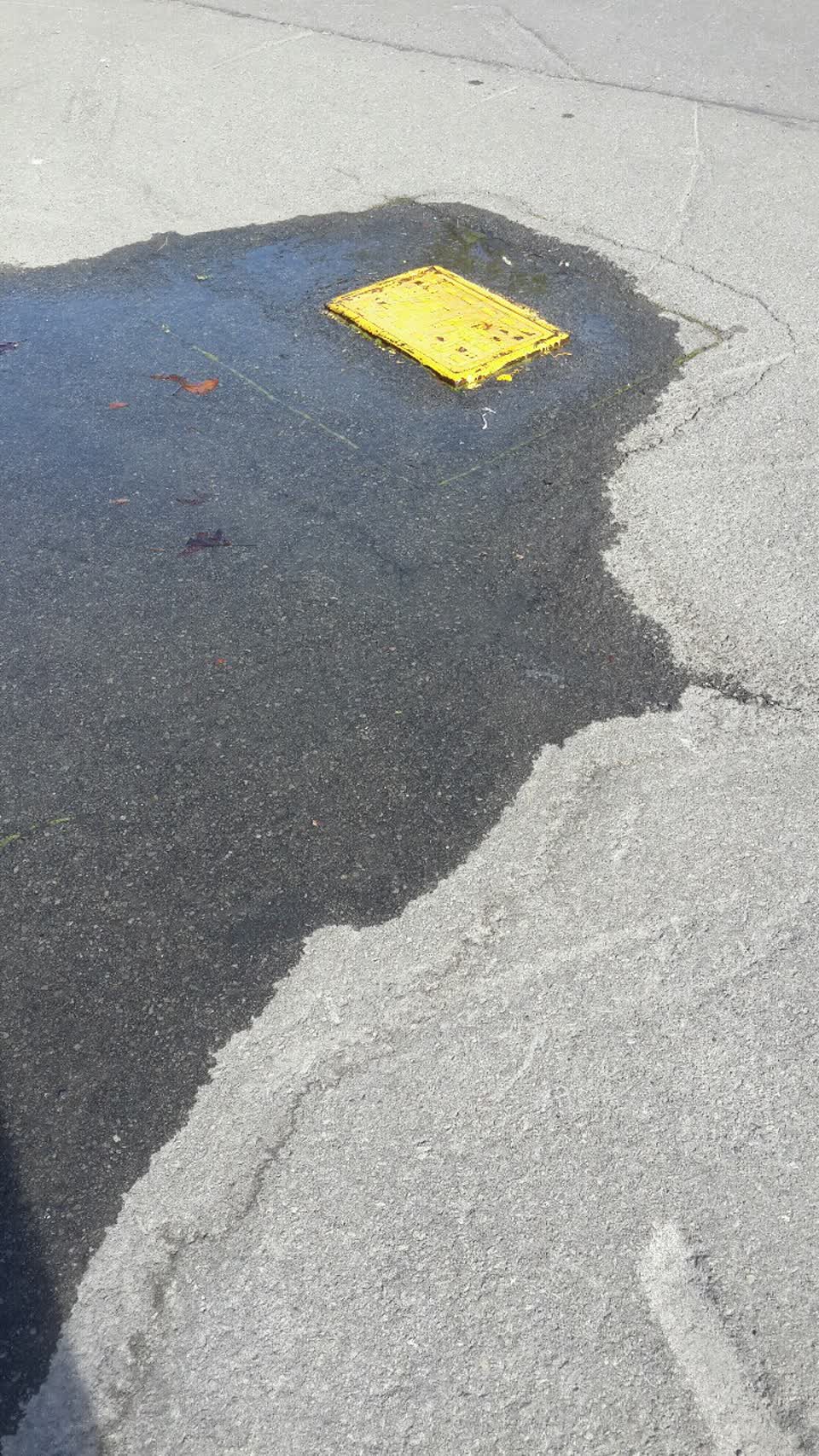 The photograph attached to this water supply report