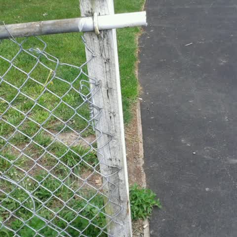 Roading/Streets, a report photo
