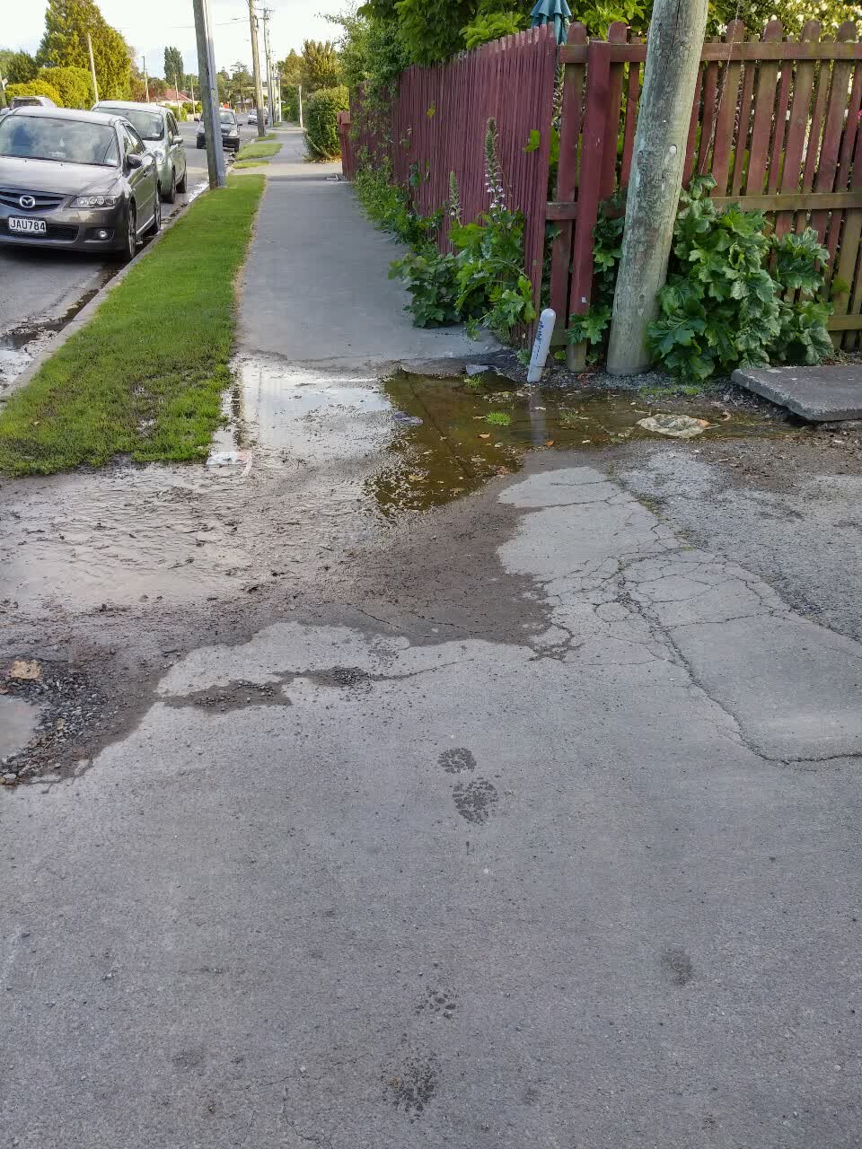 The photograph attached to this water supply report