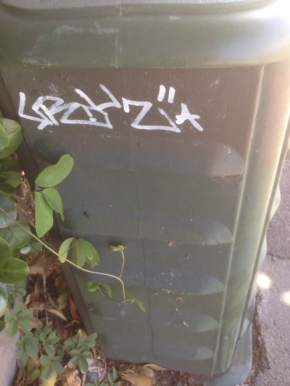 The photograph attached to this graffiti report
