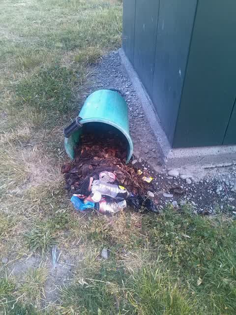 Rubbish/Recycling, a report photo