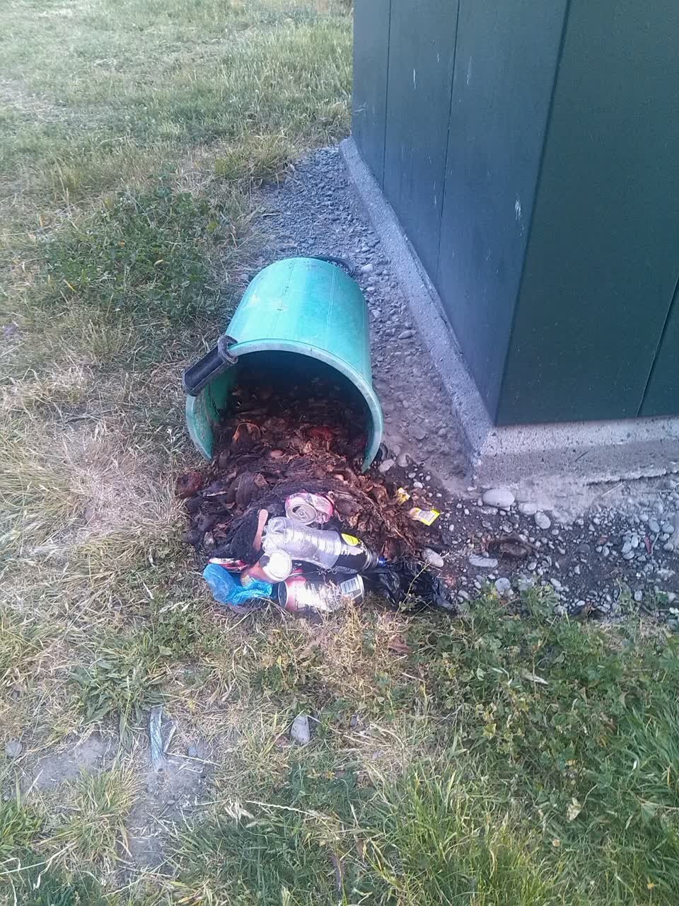The photograph attached to this rubbish/recycling report