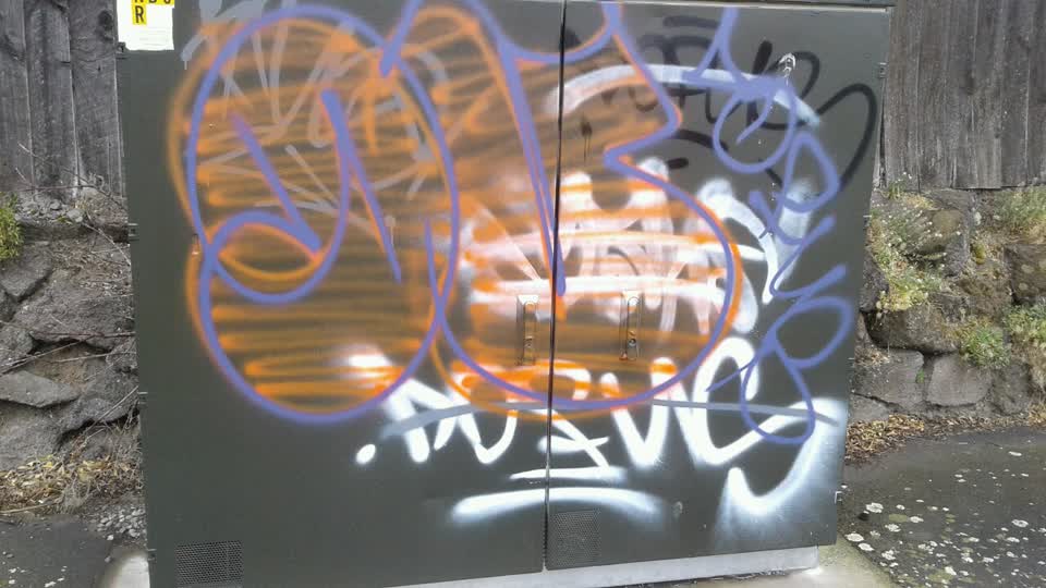 The photograph attached to this graffiti report