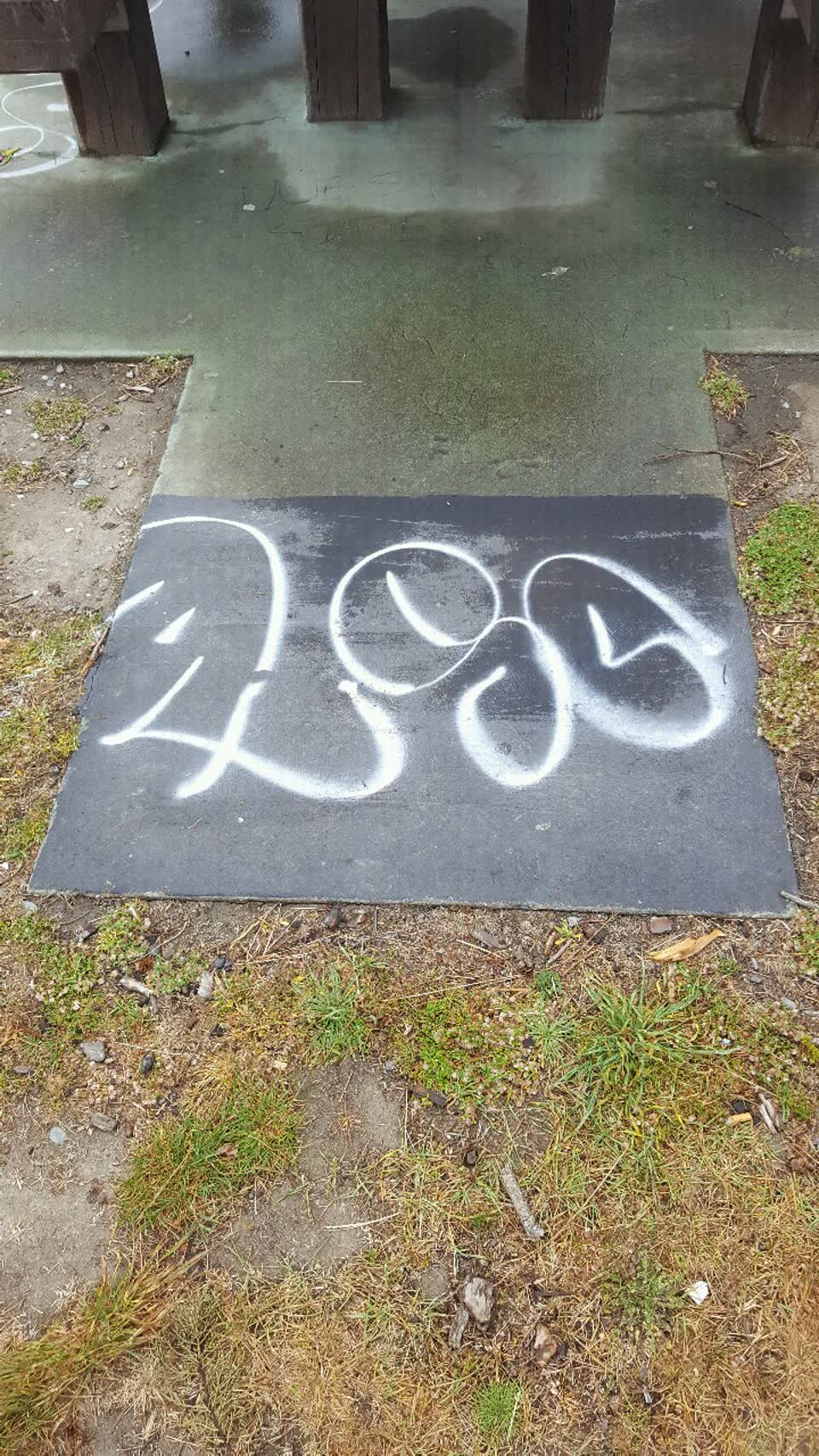 The photograph attached to this graffiti report