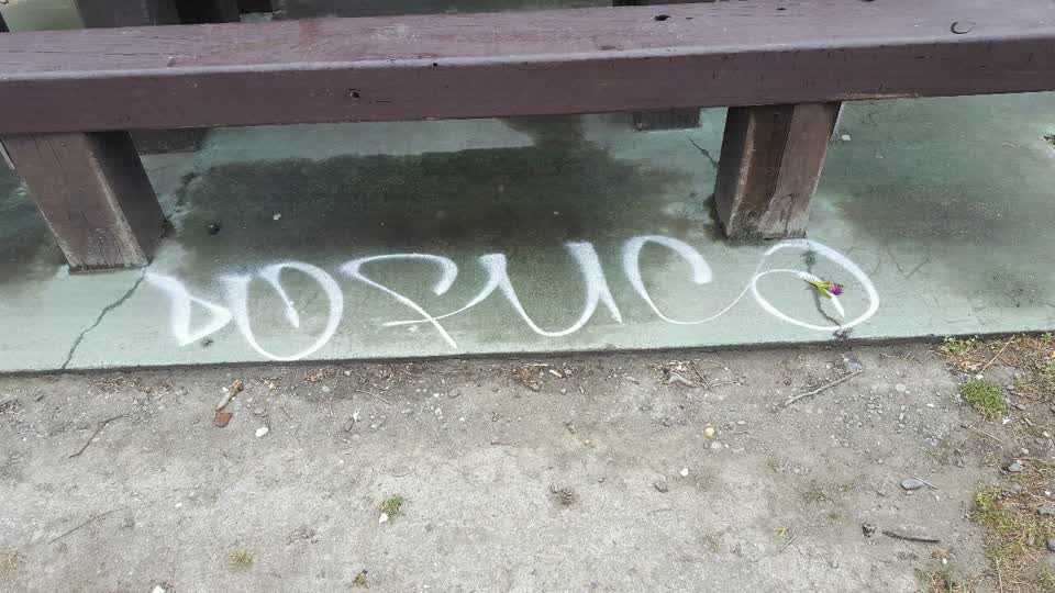 The photograph attached to this graffiti report