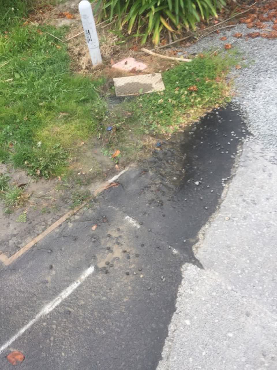The photograph attached to this water supply report