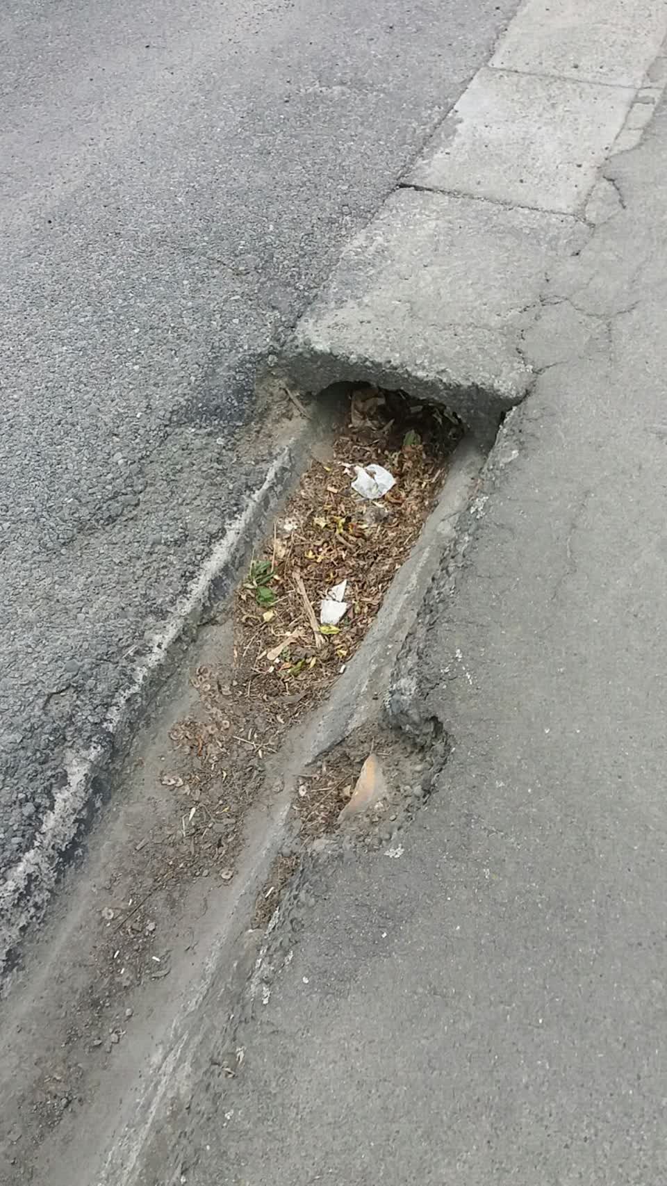 The photograph attached to this roading/streets report