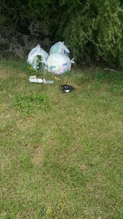 Rubbish/Recycling, a report photo