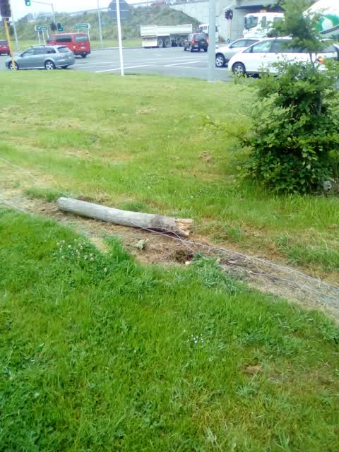 Parks, a report photo