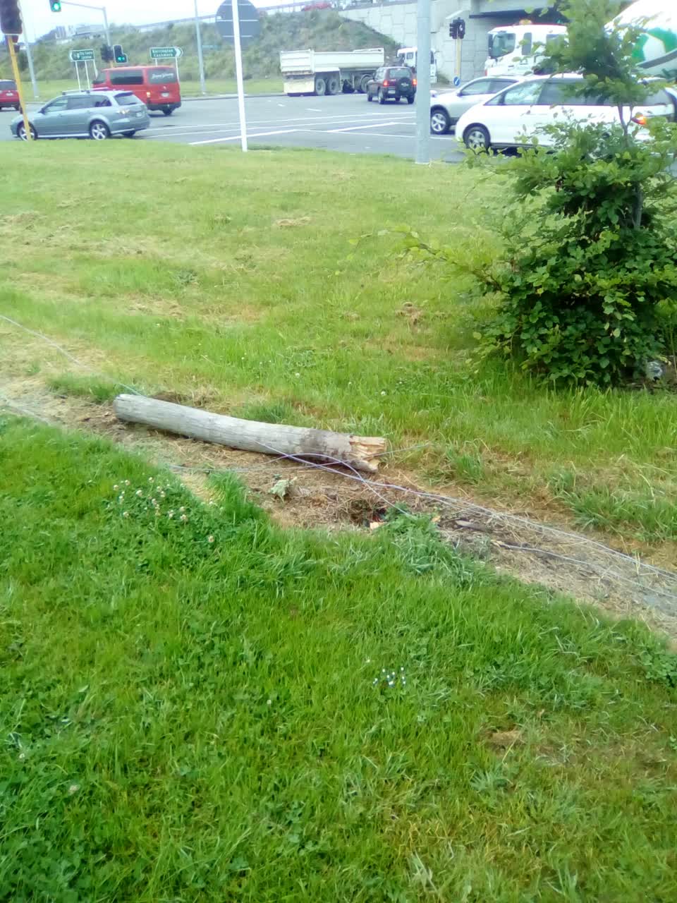 The photograph attached to this parks report
