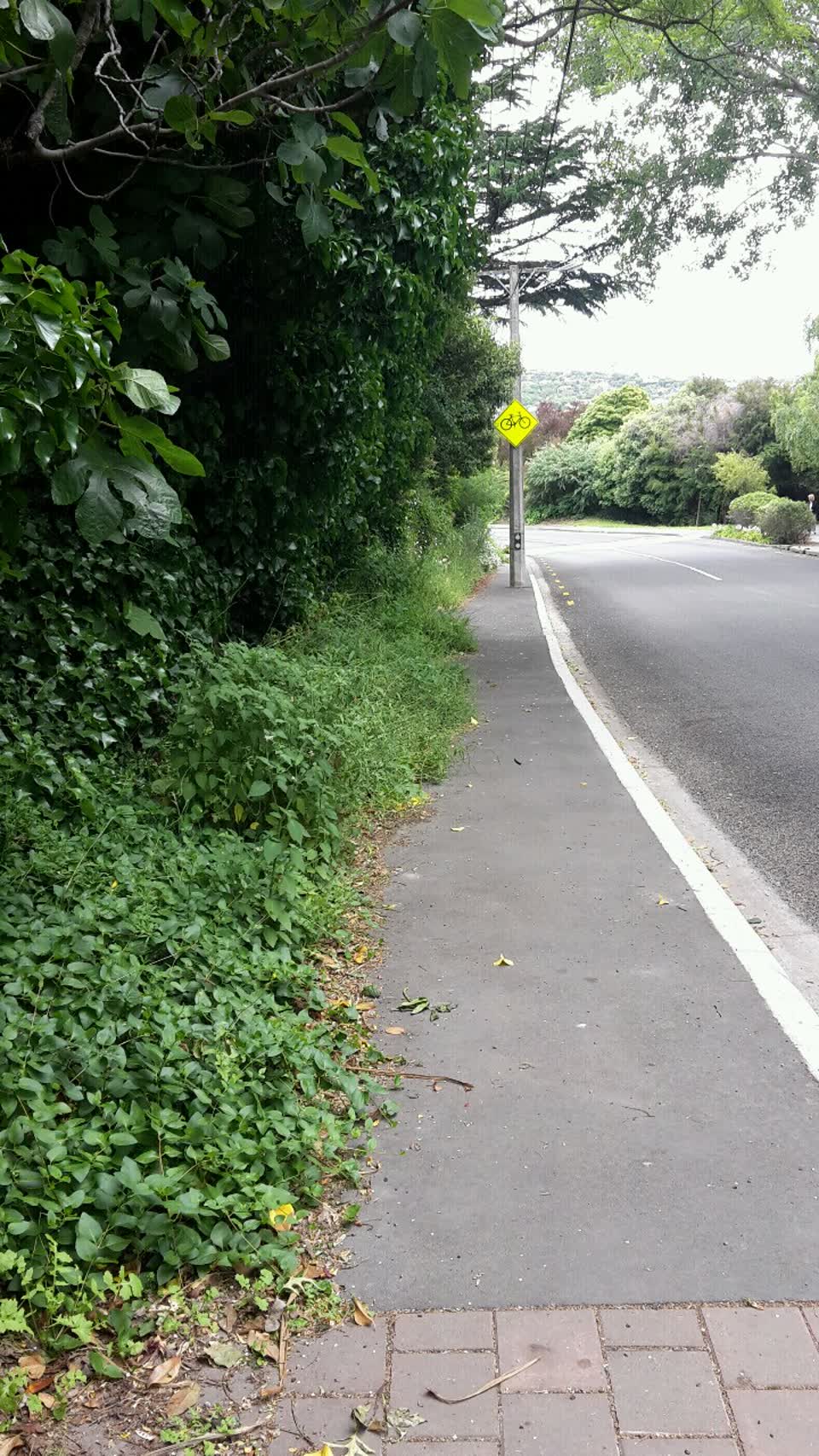 The photograph attached to this roading/streets report