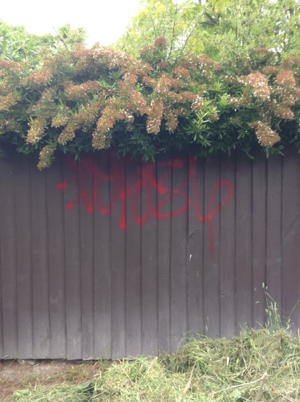 The photograph attached to this graffiti report