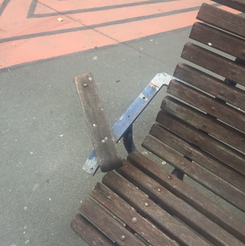 The photograph attached to this parks report