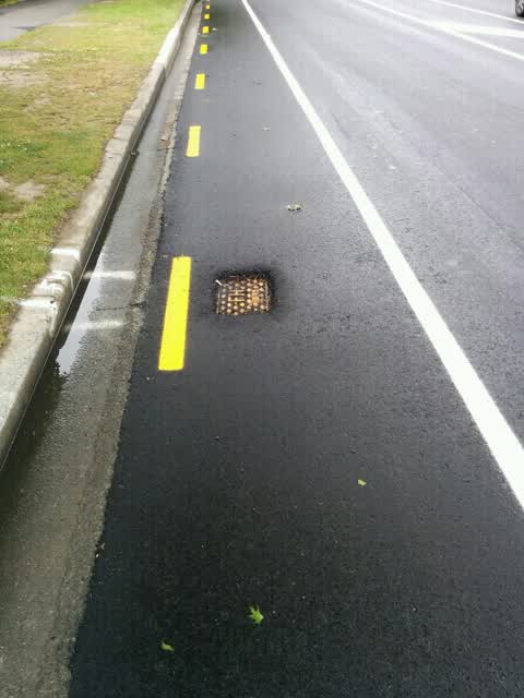 Roading/Streets, a report photo