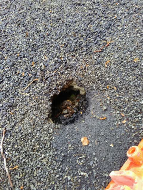 Roading/Streets, a report photo
