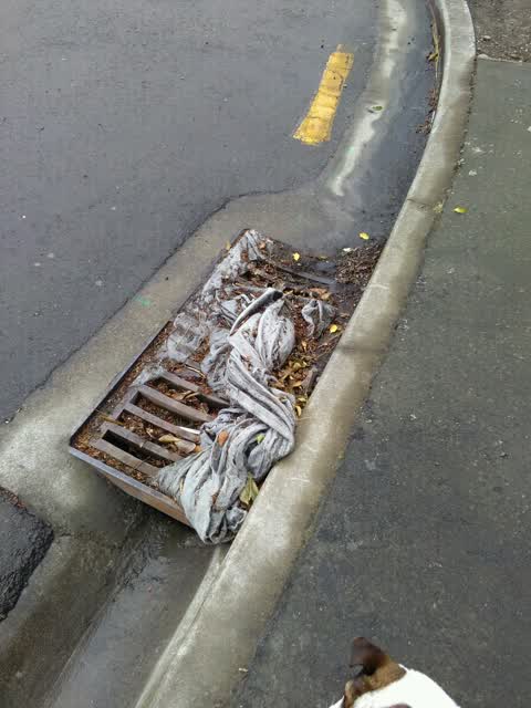 Wastewater/Stormwater, a report photo
