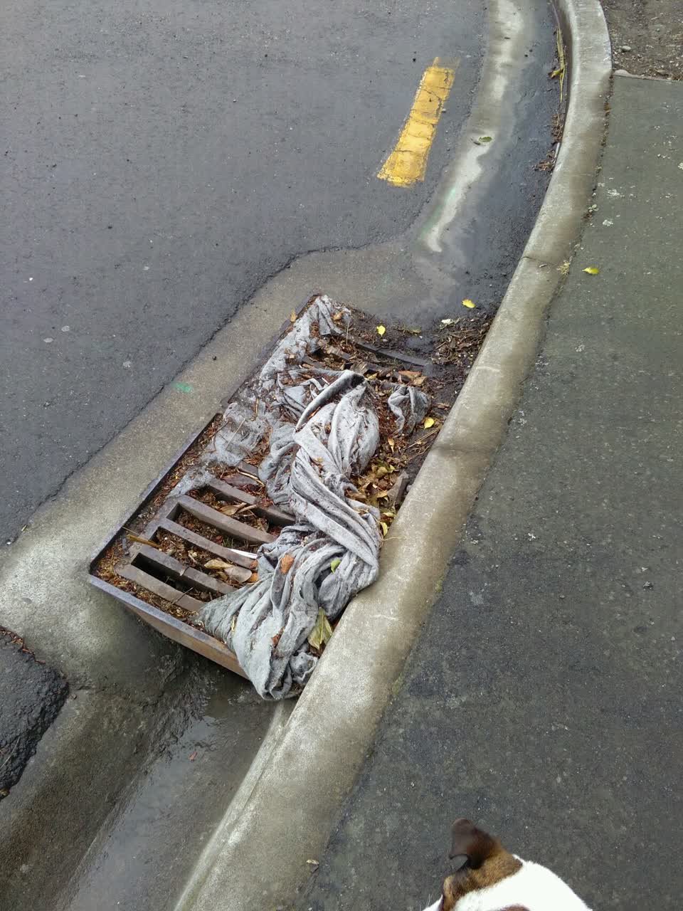 The photograph attached to this wastewater/stormwater report