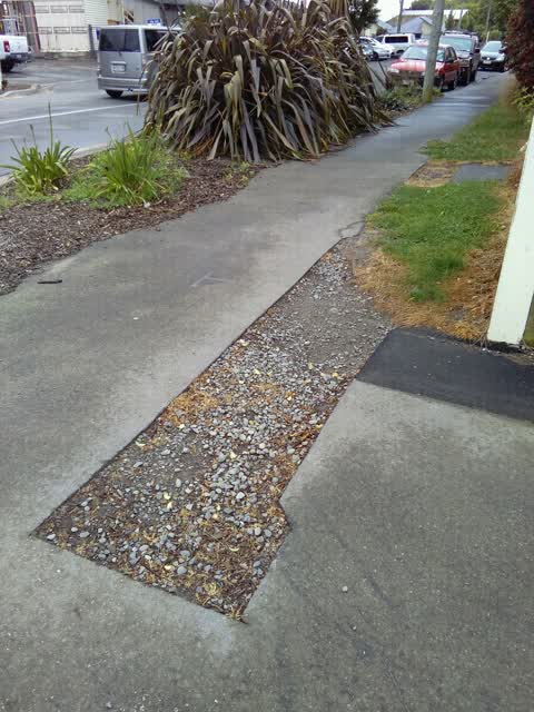 Roading/Streets, a report photo