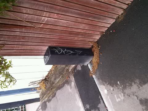 Graffiti, a report photo