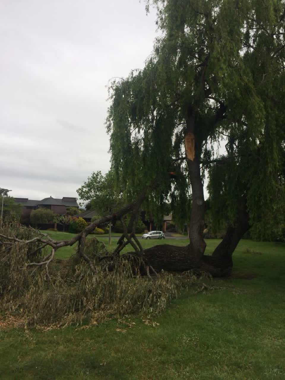 The photograph attached to this parks report