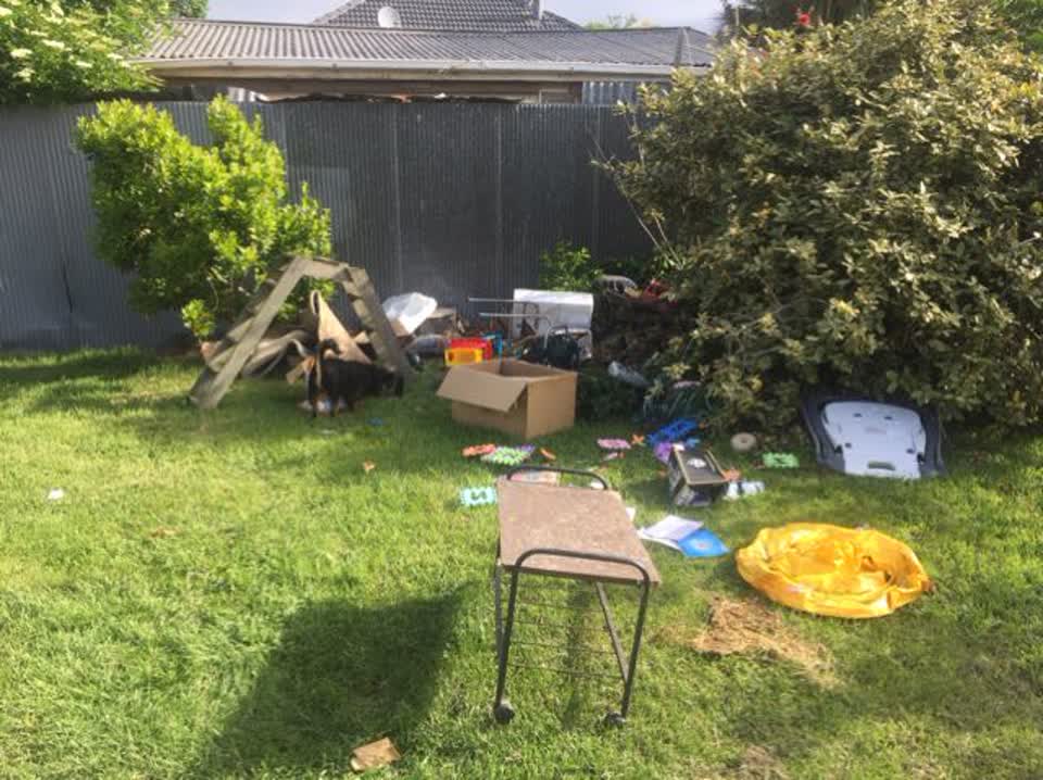 The photograph attached to this parks report
