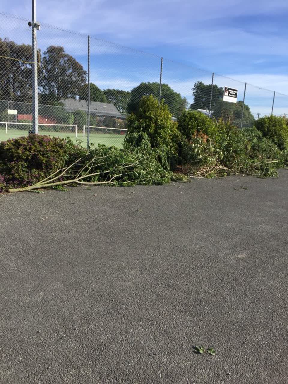 The photograph attached to this parks report