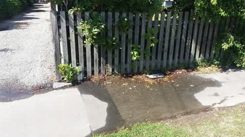 Water Supply, a report photo