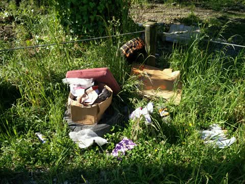 Rubbish/Recycling, a report photo