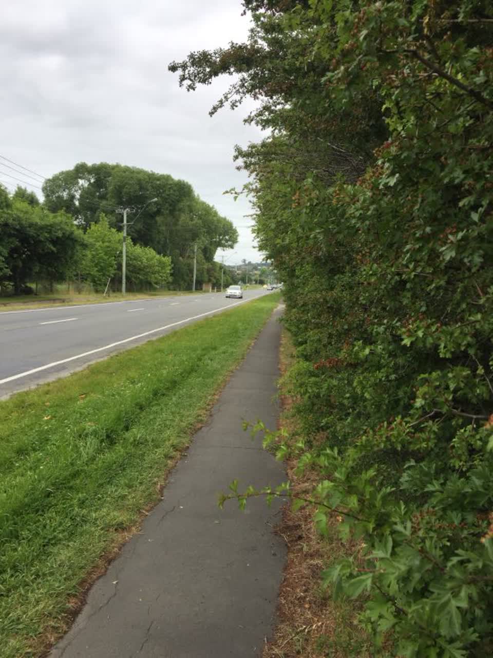 The photograph attached to this roading/streets report