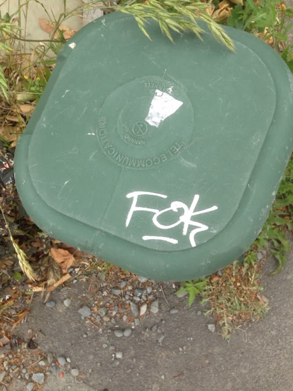 The photograph attached to this graffiti report