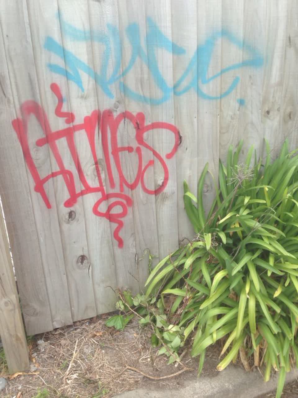 The photograph attached to this graffiti report