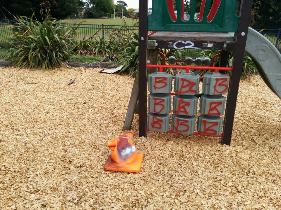 The photograph attached to this graffiti report