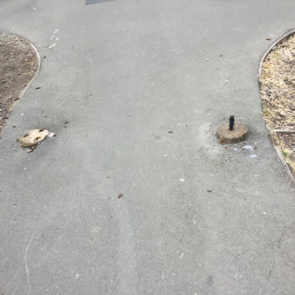 The photograph attached to this parks report