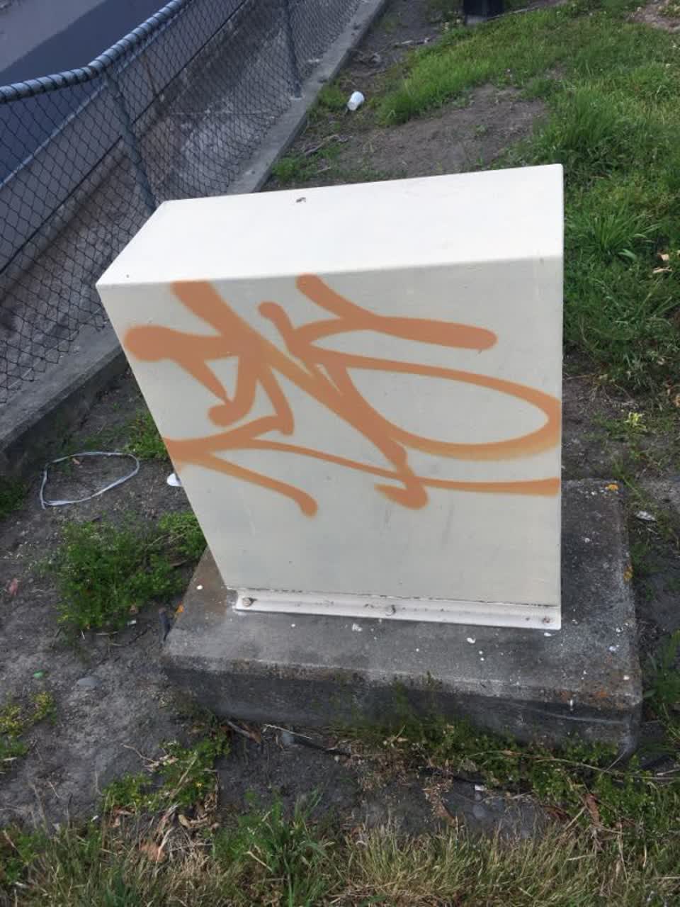 The photograph attached to this graffiti report