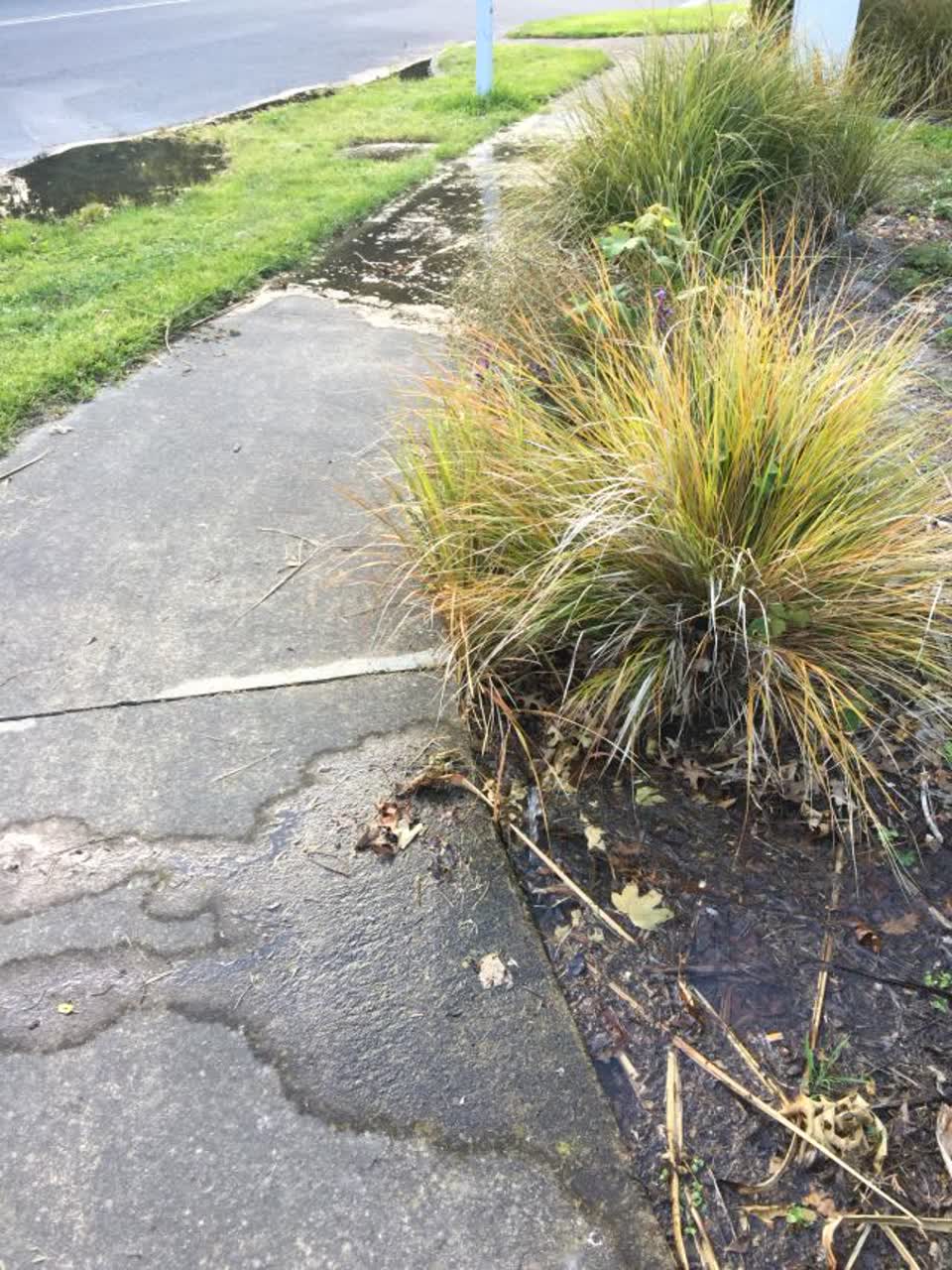 The photograph attached to this water supply report