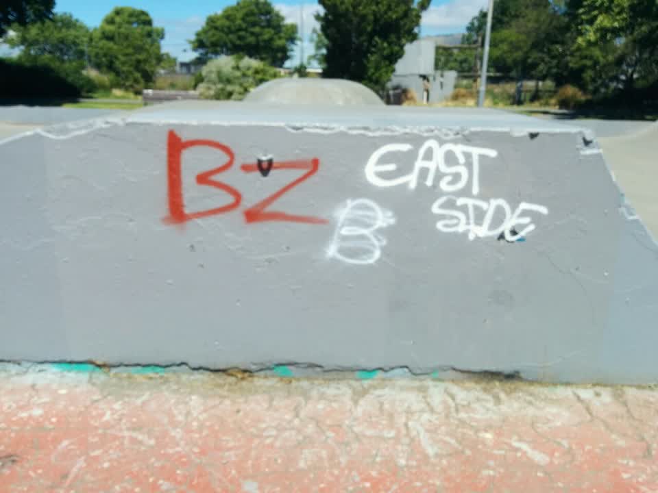 The photograph attached to this graffiti report