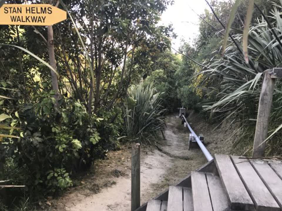 The photograph attached to this parks report