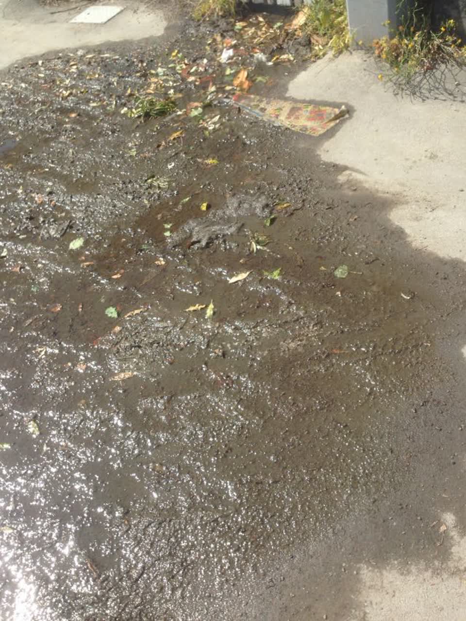 The photograph attached to this wastewater/stormwater report