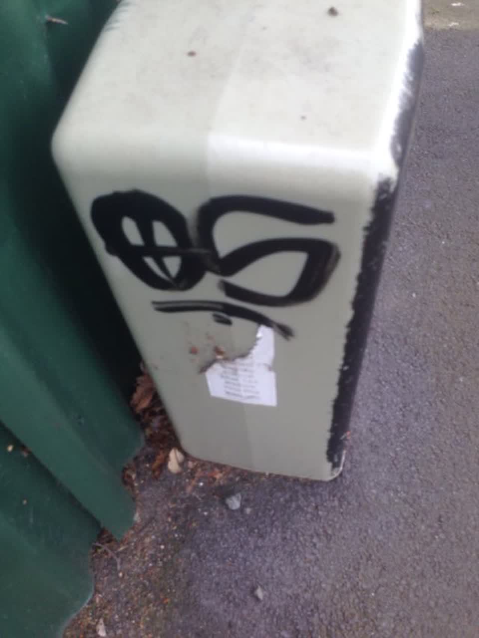The photograph attached to this graffiti report