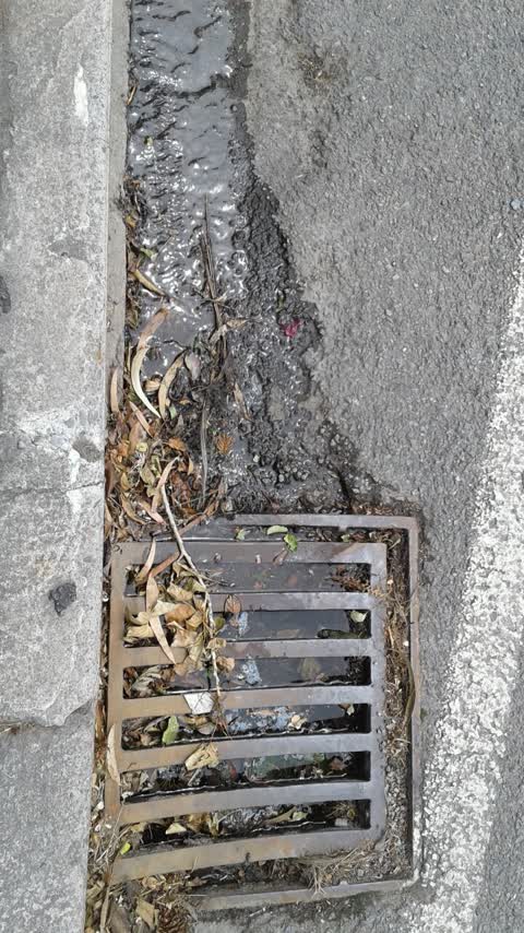 Wastewater/Stormwater, a report photo