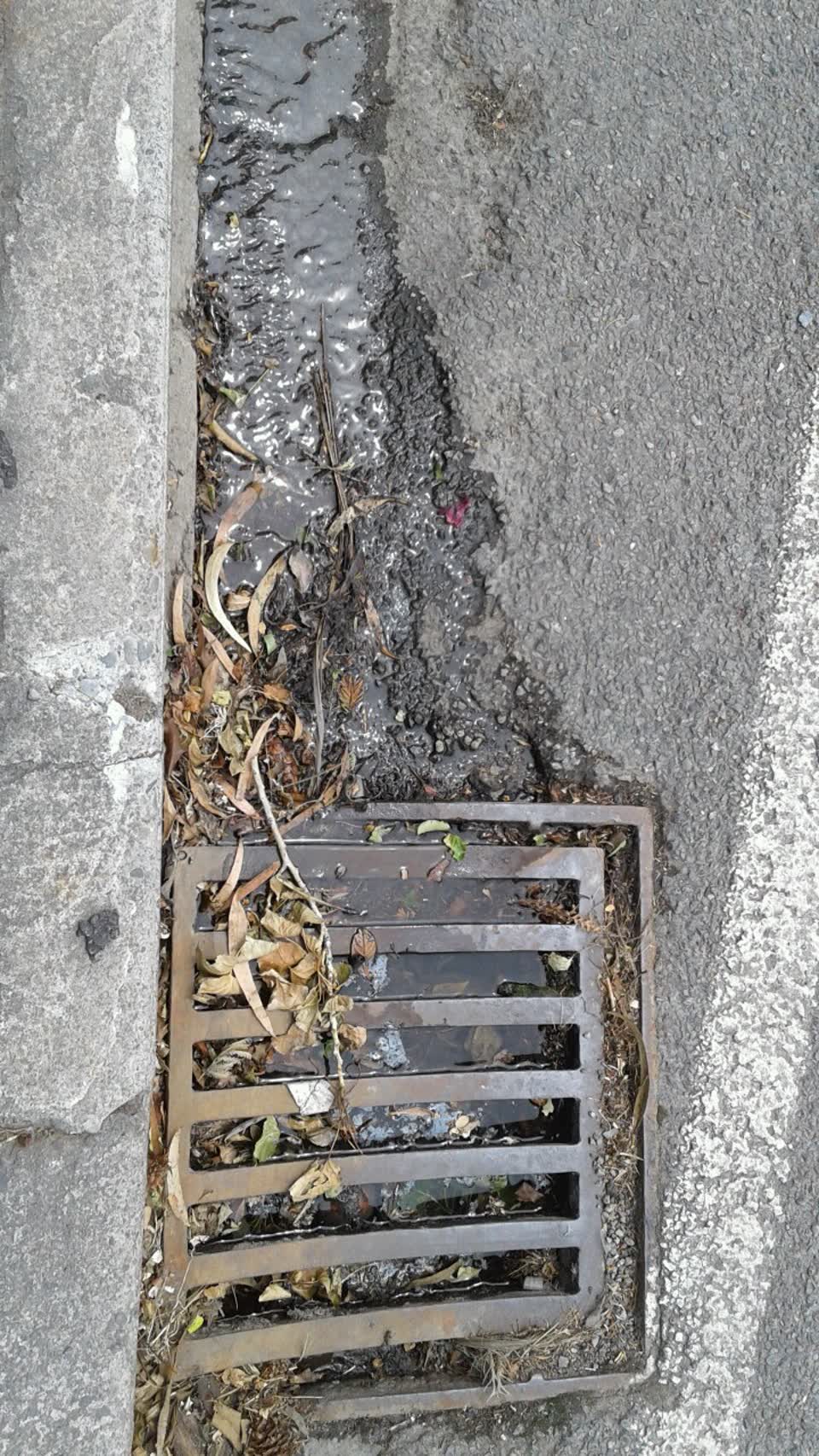The photograph attached to this wastewater/stormwater report