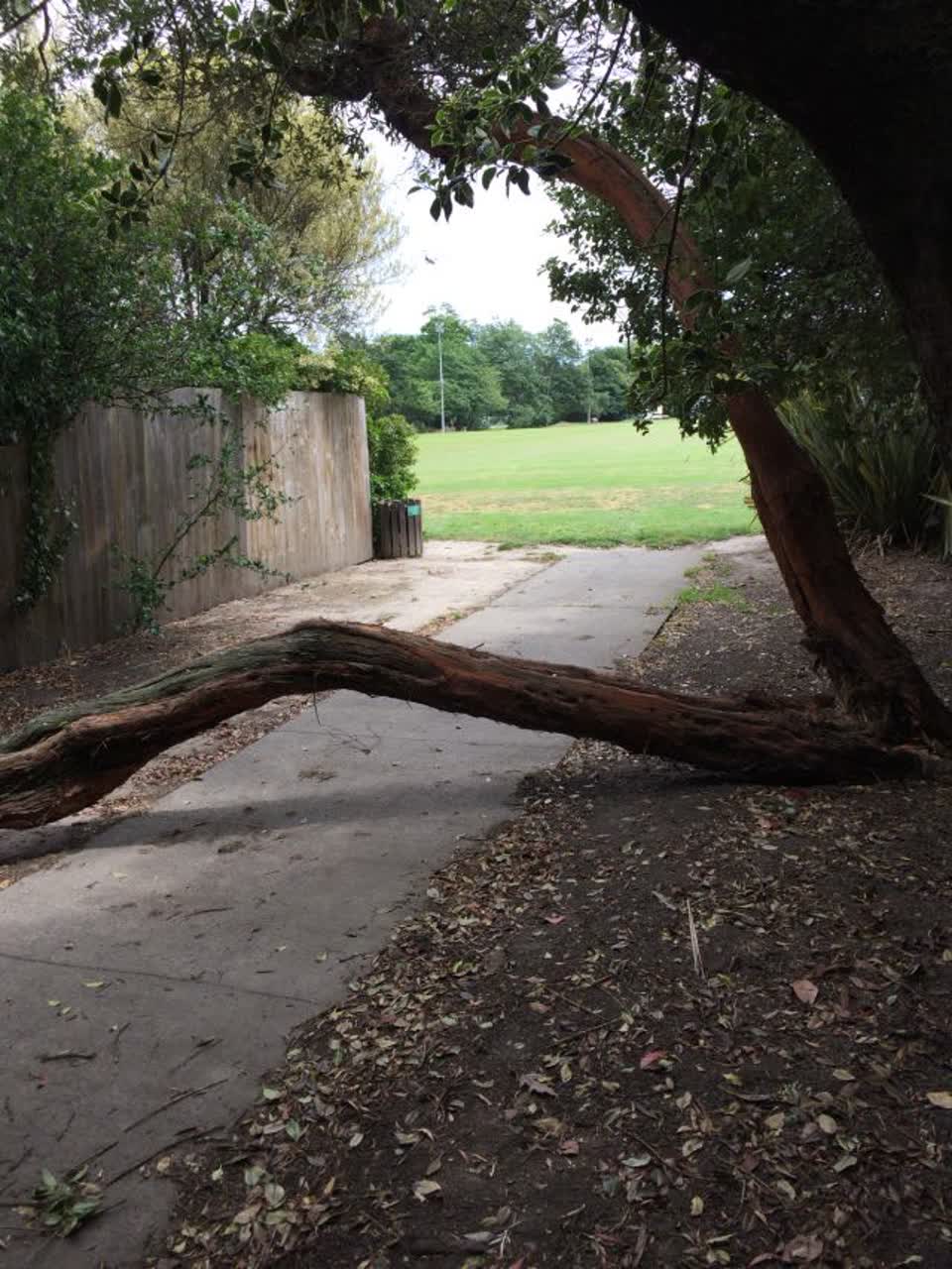 The photograph attached to this parks report