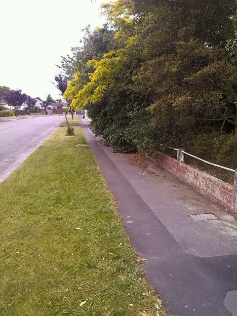 Roading/Streets, a report photo
